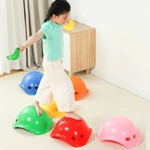 Colorful Turtle Back Stepping Stone