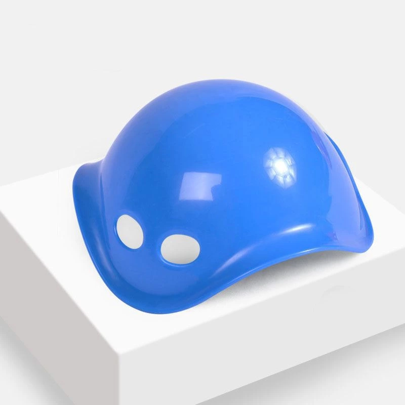 Colorful Turtle Back Stepping Stone