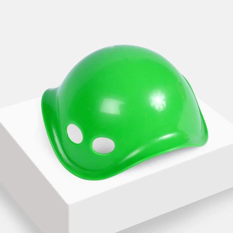 Colorful Turtle Back Stepping Stone