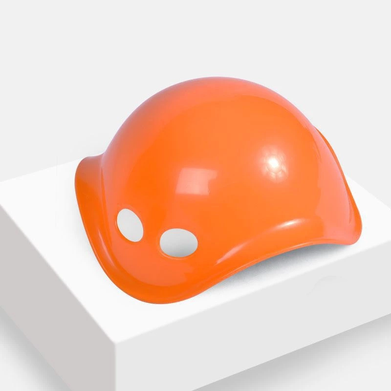 Colorful Turtle Back Stepping Stone